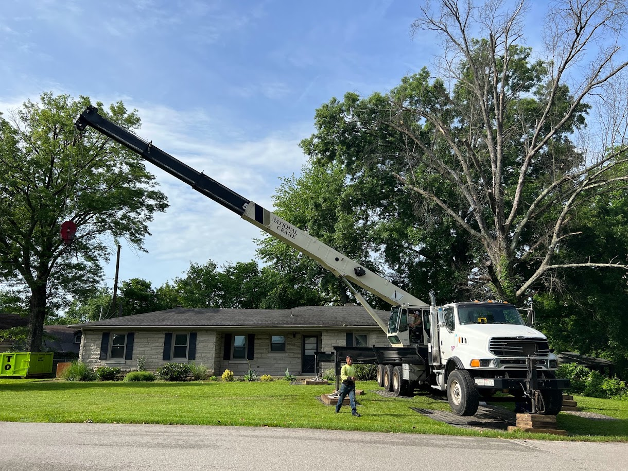 The Pro Trees crane set up on site beside a house