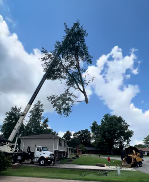 Pro Trees crane lifting a large tree section over a house during a removal