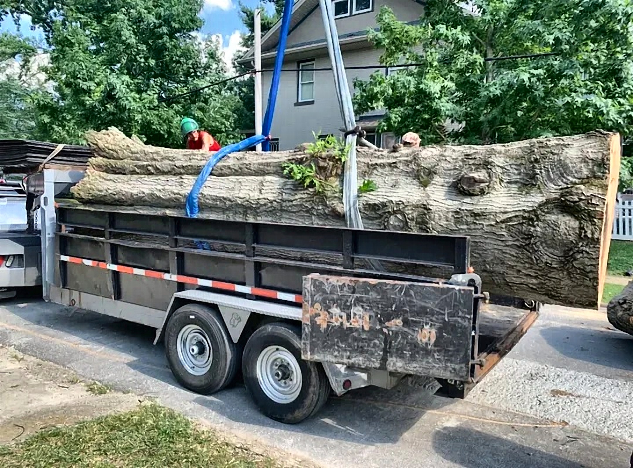 Pro Trees crane lifting a large tree section clear of a house